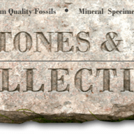 Stones and Bones Fossil Company logo