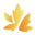 24kmaplesupply logo