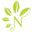 Natural Tone Skincare logo