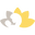 Junojacks logo