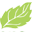 Ideal Window Solutions logo