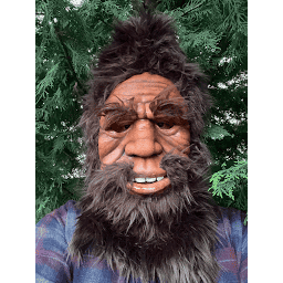 Bigbigfoot logo