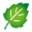 Organic Skin Care and Beauty Store logo