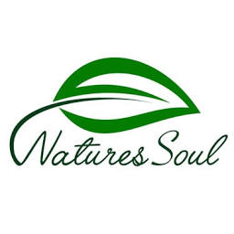 Naturessoul logo