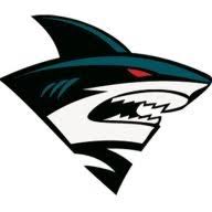 IT Shark logo