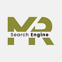 Mr Search Engine logo