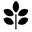 TilleyTree logo