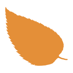 Boningale logo