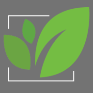 Revival Landscape logo