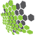 Zensport logo