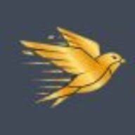 Salisbury Swift Transfer logo