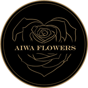 Aiwa Box logo