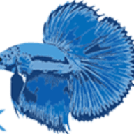 frozenfishfood.co.uk logo