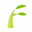 Mintcary logo