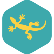 Yellow Lizard Media - Video Production logo