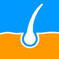 The Hair Guys logo