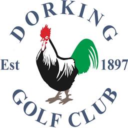 dorkinggolfclub.co.uk logo