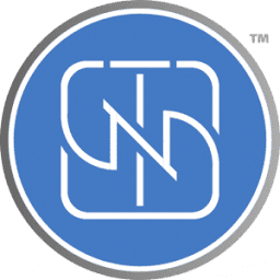 True North Security Group logo