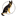 northlandpetsupply.com logo