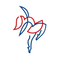 Stagestep logo