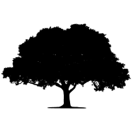 Thomas Scott & Co logo