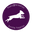 pawsbrooklyn.com logo