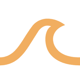 Digital Tsunami logo