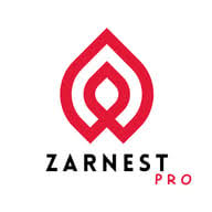 ZarnestPro Digital Marketing logo