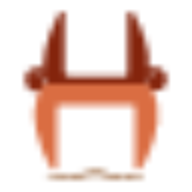 Healsway Systems Solution Ltd logo