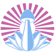 Spirit Molecule logo