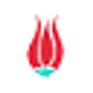 mavitours.com logo