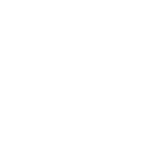 Richmond Cycles logo