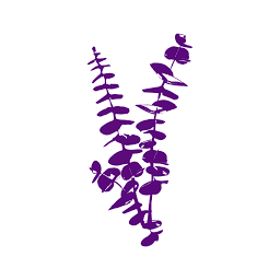 Park Slope Cleaning logo