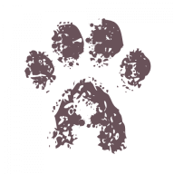 4Paws Pet Insurance logo