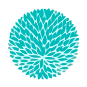 ktcollection.com logo