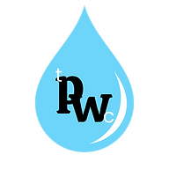 Thepressurewashingcompany logo