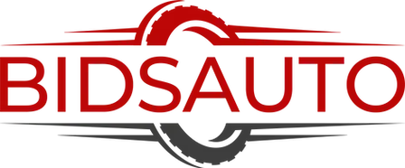 Bidsauto logo