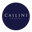 cailinicoastal.com logo