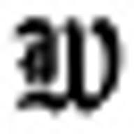 The Wellesbourne logo