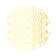Awakenyourselfnow I Daniela Ptak logo