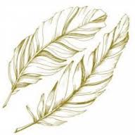 Ackary Benjamin Wills & Estate Planning logo