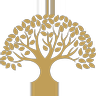 Barbary And Oak logo