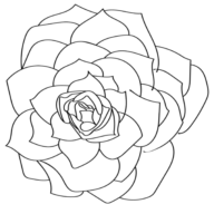 Jane Maples Flowers logo