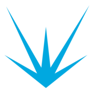 Engraved logo
