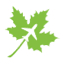 Maple Parking logo