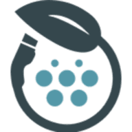 McNally EV logo