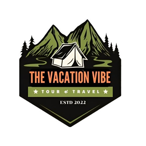 Thevacationvibe Dcms logo