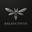 BALANCEWISE® logo