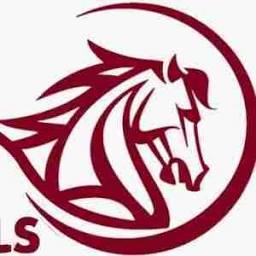 Saddledealsdepot logo