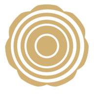 Senso Floors logo
